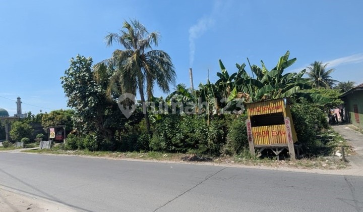 Tanah Kavling Jalan Pasar Melintang