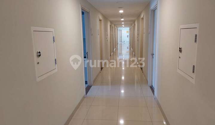 Springlake Tower Elodea Apartment