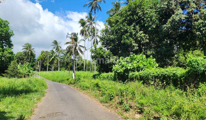 Lelang Tanah Kosong Minahasa Utara, Manado, Sulawesi Utara 2