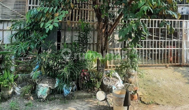 Rumah Tinggal Perum Grand Nusa Indah