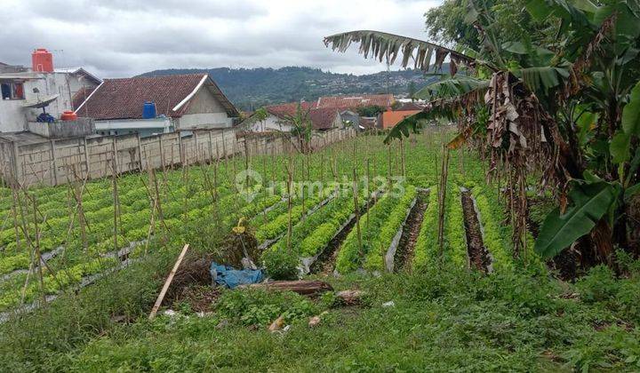 Jual Tanah Sangat Luas di Cikole Lembang Jawa Barat R R 1