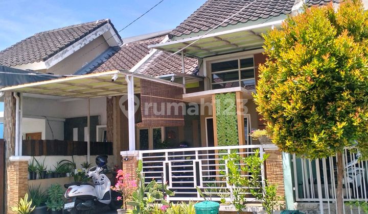Rumah Di Royal Mansion Taman Bohar Sidoarjo Jawa Timur Rumah Di Royal Mansion Taman Bohar Sidoarjo Jawa Timur