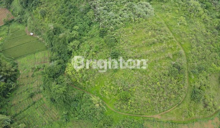 Tanah Kosong 11 Hektar di Cikareo, Sukaresmi Cianjur Jawa Barat Tanah Kosong 11 Hektar di Cikareo, Sukaresmi Cianjur Jawa Barat