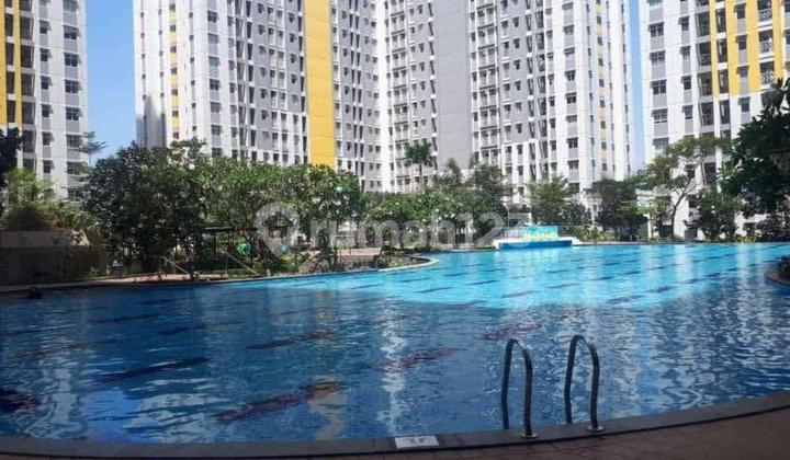 *Disewakan Apartemen Springlake 2Br Tower Basela Bekasi*