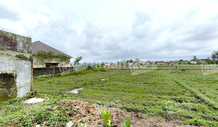 SHM Land Area 1175M2 For Rent, Highly Strategic Location Near Industrial Area at Zero Point of Kebon Agung Main Road, Pakisaji District, Malang Regency.