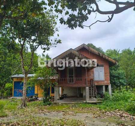 Land Area 6,555m2 Binjai.. Affordable Price Rp 210,000/m2