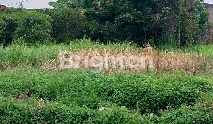 Tanah Hook Kosong Di Johor