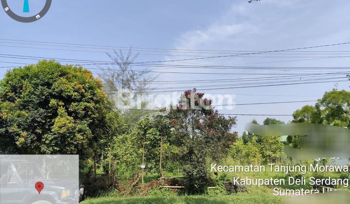Tanah Kosong Batang Kuis Tanjung Morawa 1
