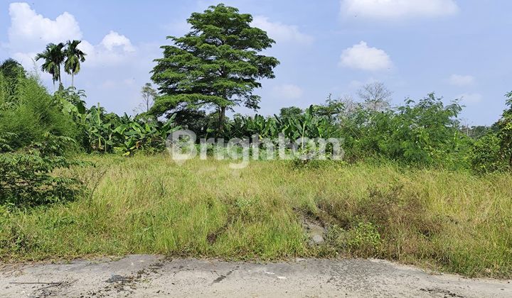 Di Jual Tanah Kosong Batang Kuis Tanjung Morawa 2