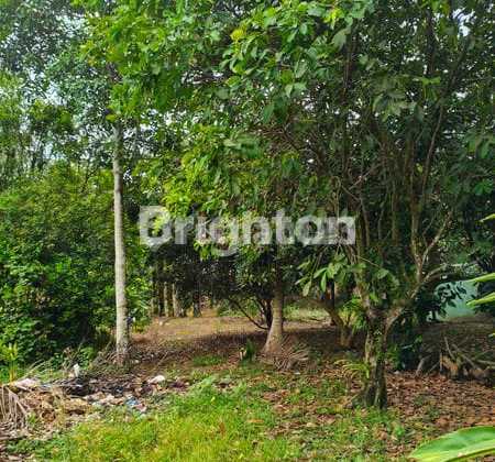 Land Area 6,555m2 Binjai.. Affordable Price Rp 210,000/m2