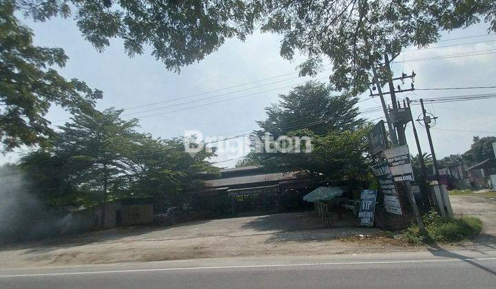 Disewakan Tanah di Batang kuis 2