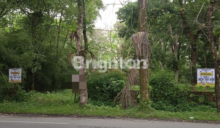 Tanah Kosong Depan Kebun Binatang 1