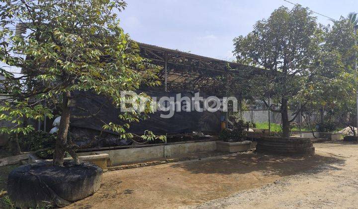 Tanah di sewakan di Batang Kuis Tanjung morawa 1
