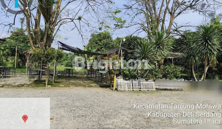 Tanah Di Jual/Sewa di Tanjung Morawa 2