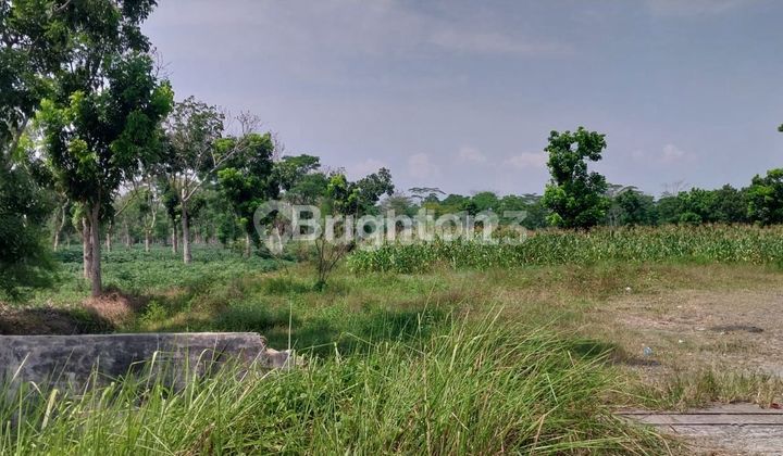 Tanah Kosong Dekat KNO 2
