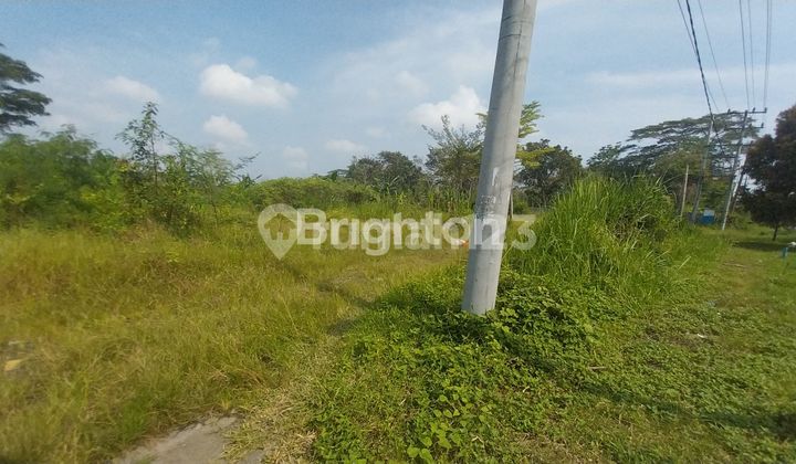 Di Jual Tanah Kosong Batang Kuis Tanjung Morawa 1