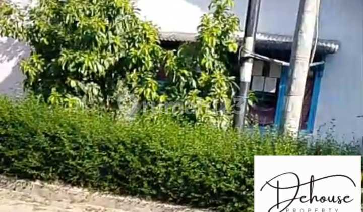 jual cepat tanah dan bangunan harga dibawah pasar Sukarame Bandar Lampung dat. tinggi Tidak Banjir 2