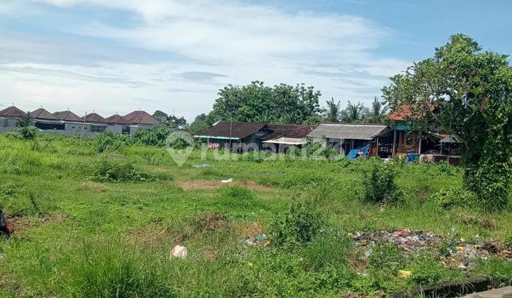 For Sale Tabanan Bali Land Suitable For Housing
