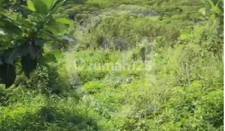 Land for Sale in Halambang Sentul Bogor