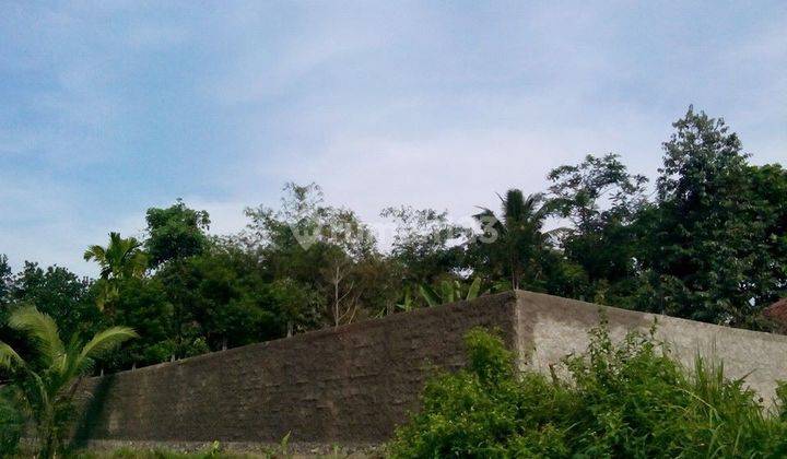 Lahan Serbaguna Murah Luas 426 Meter Pagar Keliling 2 Meter di Ciseeng Bogor 1