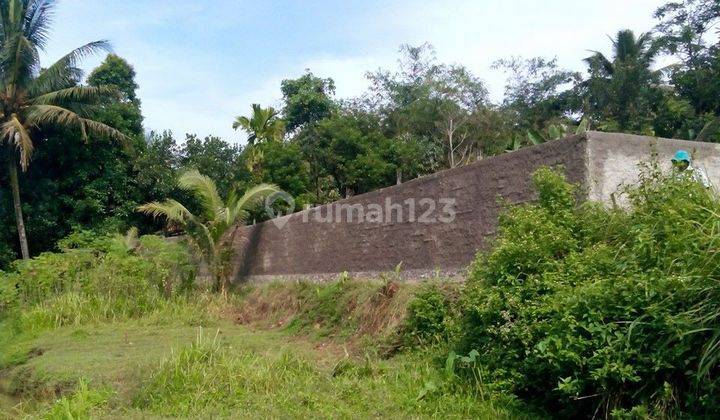 Lahan Serbaguna Murah Luas 426 Meter Pagar Keliling 2 Meter di Ciseeng Bogor 2