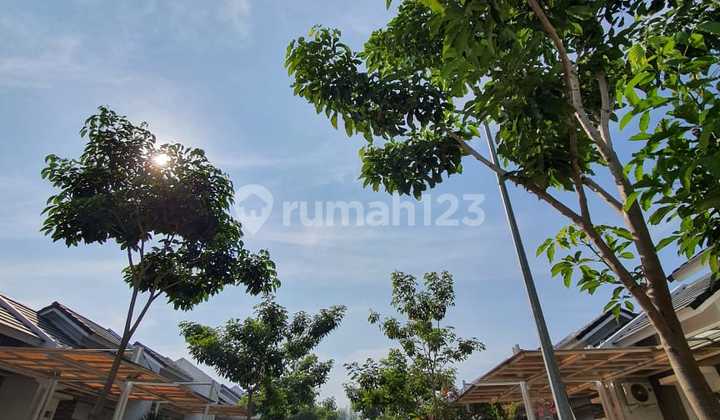 Rumah Natura Serpong City, 1 Lantai, Gunung Sindur Rumah Natura Serpong City, 1 Lantai, Gunung Sindur