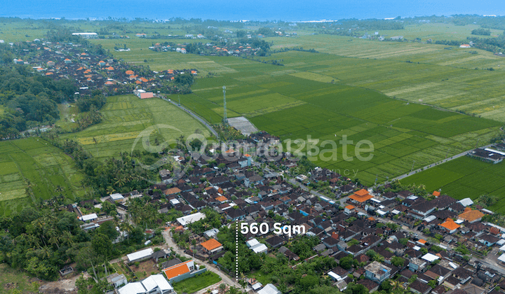 Amazing Leasehold Land in 5 Minutes to Kedungu Beach 1
