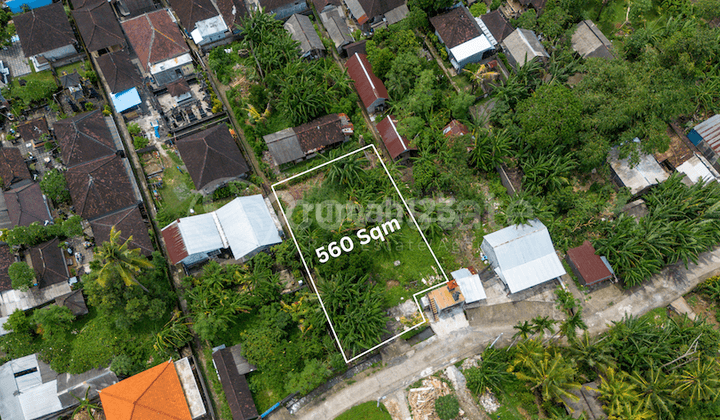 Amazing Leasehold Land in 5 Minutes to Kedungu Beach 2