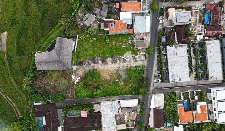 Tanah 600 m2 Canggu, Badung SHM 2