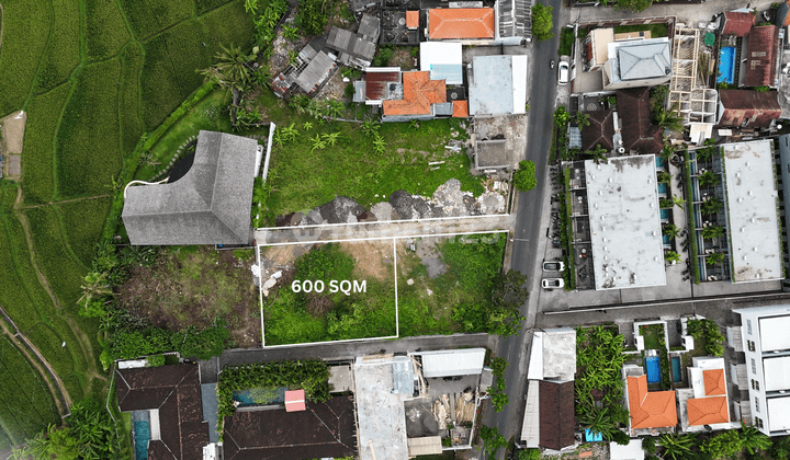 Tanah 600 m2 Canggu, Badung SHM 1