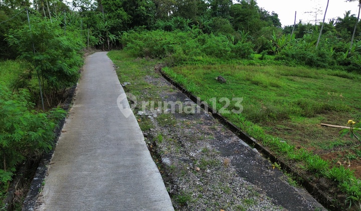 For Sale Fast Build-Ready Land Plots in Tabanan, Bali with Freehold Title For Sale Fast Build-Ready Land Plots in Tabanan, Bali with Freehold Title