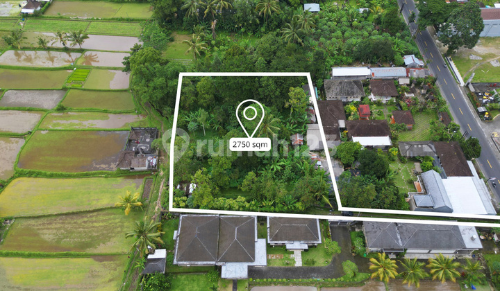 Tanah Dijual di Bedugul Depan Secret Garden Village Tanah Dijual di Bedugul Depan Secret Garden Village