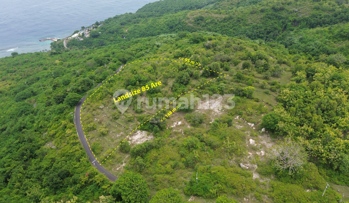 Nusa Penida Panoramic Seaview Land Prime Hillside Plot!