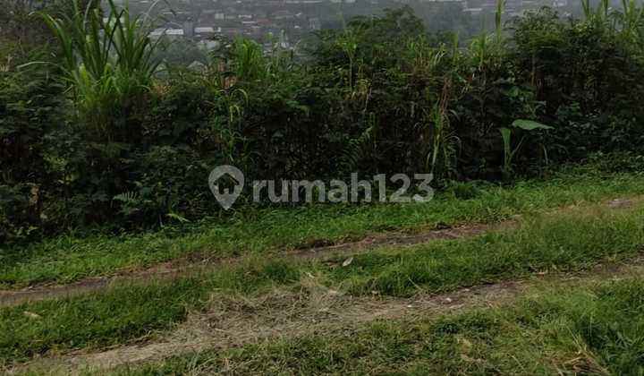 For Sale Land in Baturiti Tabanan Bali SHM near Lake Bedugul For Sale Land in Baturiti Tabanan Bali SHM near Lake Bedugul