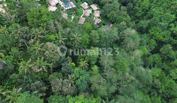 For Sale Land in Buahan, Gianyar, Ubud Bali Next to Nandini Resort