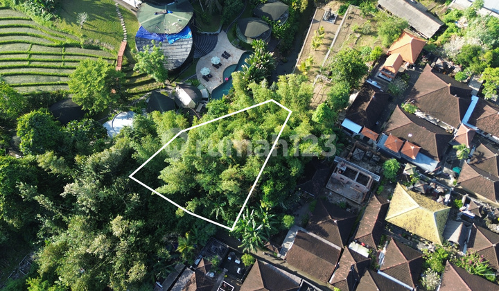 For rent: 6 ares of land next to De Moksha Beraban Kediri Tabanan. For rent: 6 ares of land next to De Moksha Beraban Kediri Tabanan.