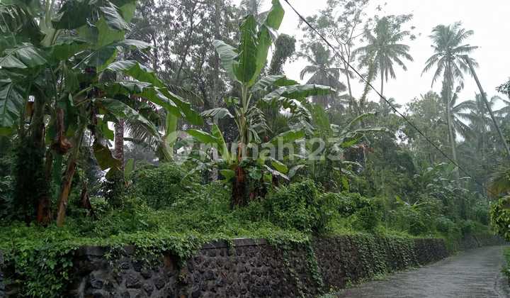 Tanah Dijual 70 are Pura Dalem Munduk Tunjuk Tabanan Bali SHM