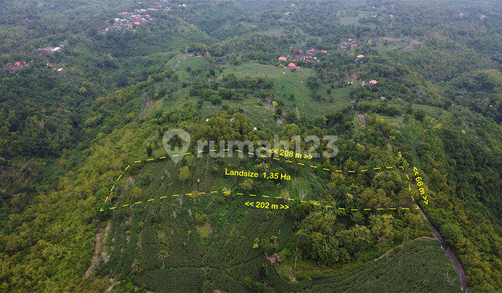 Tanah Nusa Penida Facing Bali 1,35 Hectar Sea View Hilltop Plot