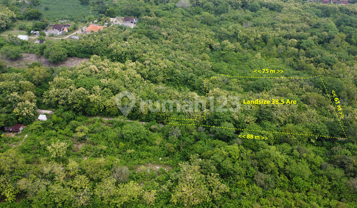 Nusa Penida North Seaview Land Prime Freehold Plot