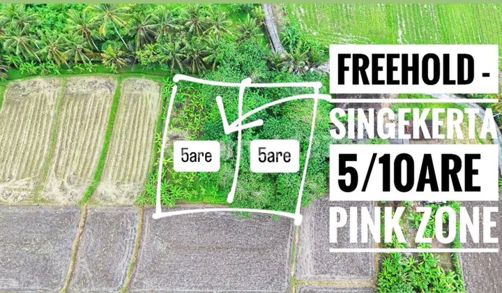 Tourism Zone Land, Singekerta, Ubud Gianyar, Freehold Certificate for Villa Area Tourism Zone Land, Singekerta, Ubud Gianyar, Freehold Certificate for Villa Area