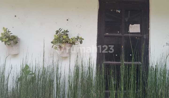 Quick Sale House Suitable for Rental 2