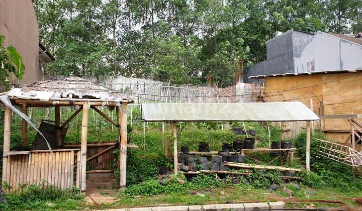 Tanah Murah Kavling Komplek Elite Setraduta Bandung Utara Sayap Gerlong Setiabudi