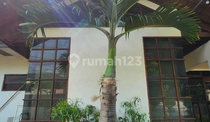 Price Drop!! House for Sale in Kemang, South Jakarta Price Drop!! House for Sale in Kemang, South Jakarta