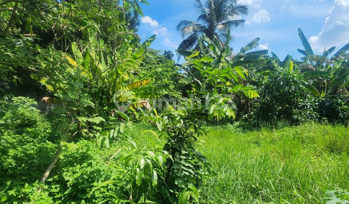 Dijual Murah Tanah Di Daerah Pondok Cabe Tangsel Dekat Lapangan Golf Pondok Cabe 2