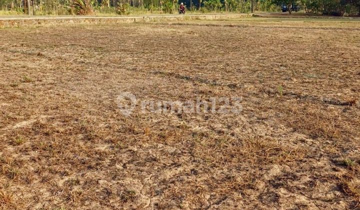 For Rent Land Plot Location Jonggol Good And Strategic