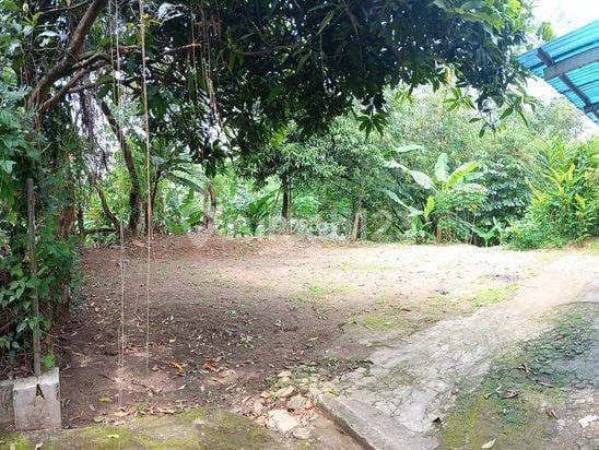dijual kavling lokasi strategis dan suasana tenag udara sejuk cocok untuk rumah tinggal villa usaha kebun dan peternakan dijual kavling lokasi strategis dan suasana tenag udara sejuk cocok untuk rumah tinggal villa usaha kebun dan peternakan