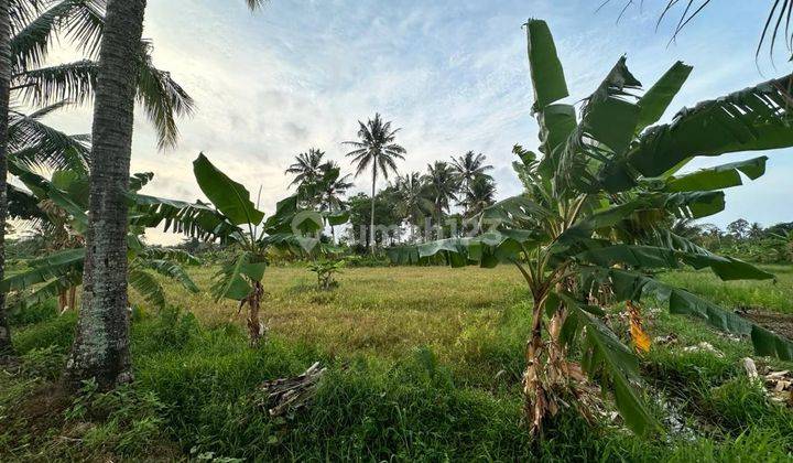 Tanah Strategis Lokasi Sebrang Bibir Pantai di Sukarame Carita Pandeglang