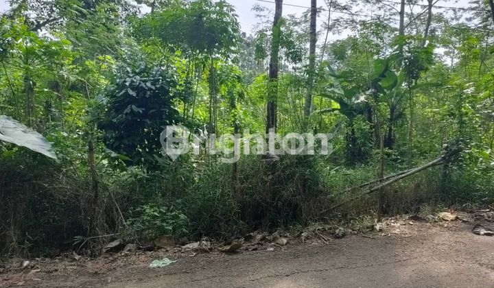 TANAH SIAP BANGUN DAERAH BERKEMBANG MIJEN SEMARANG  2