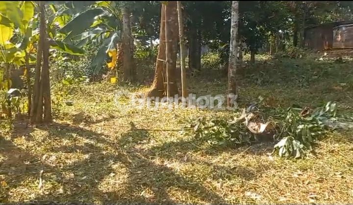 DIJUAL CEPAT TANAH G.PATI 1