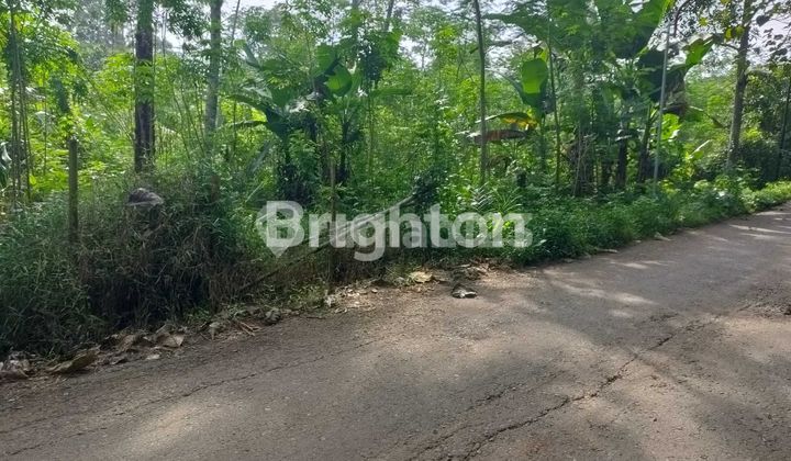 TANAH PEKARANGAN SIAP BANGUN WONOLOPO SEMARANG BARAT 1